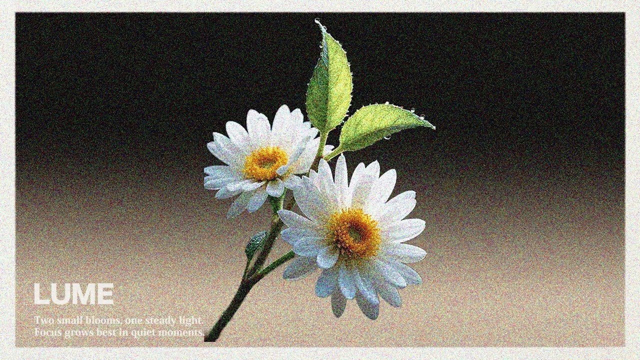 Quiet Morning Bloom | Chill Beats for Deep Focus