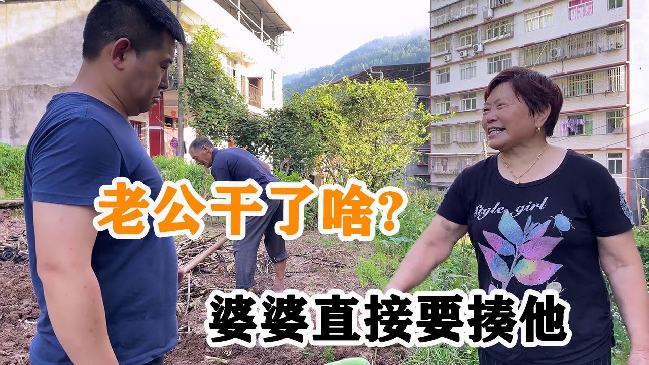 邻里帮忙下地种菜，老公干了啥，气的婆婆要揍他，大家快来评评理【杨翠花V】