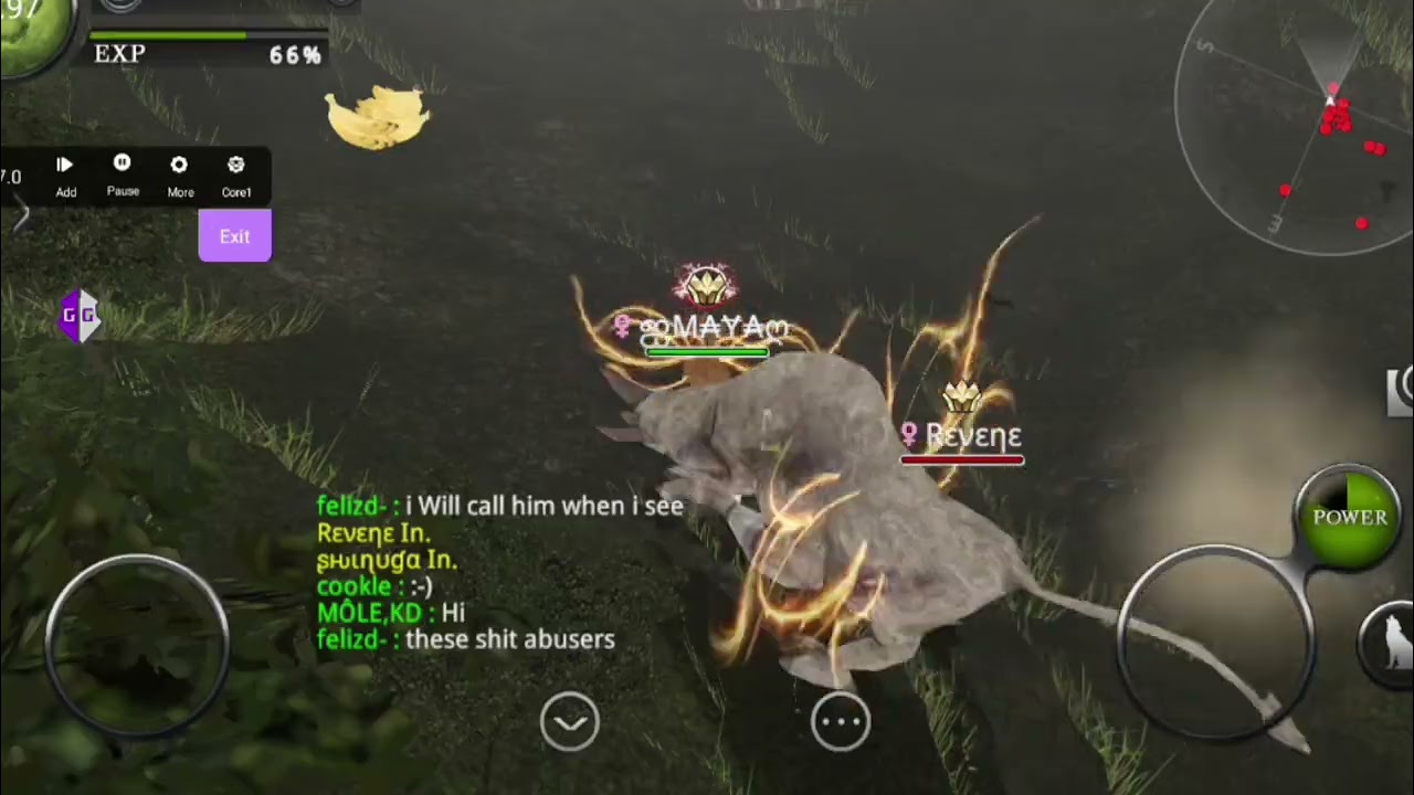 Wild Animals Online WE GO UP 