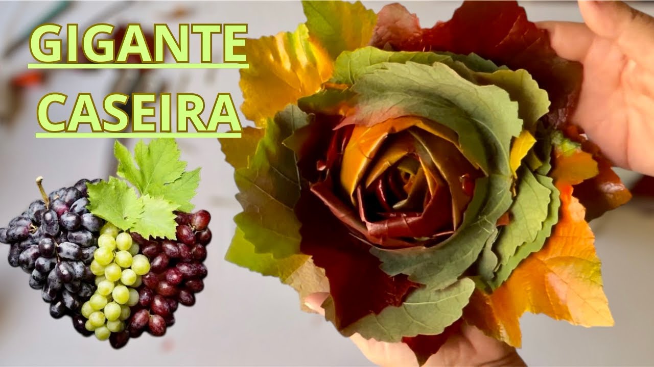 SEM COMPRAR NADA‼️Rosas Gigantes com folhas que estavam no quintal 2 MANEIRAS DE FAZER