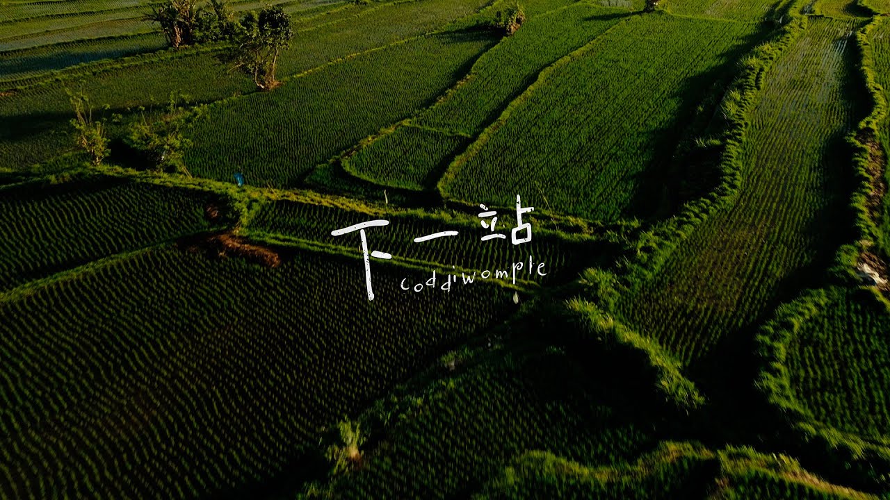 Irene 林芊瑩 - 《下一站》 (Coddiwomple) Official Music Video