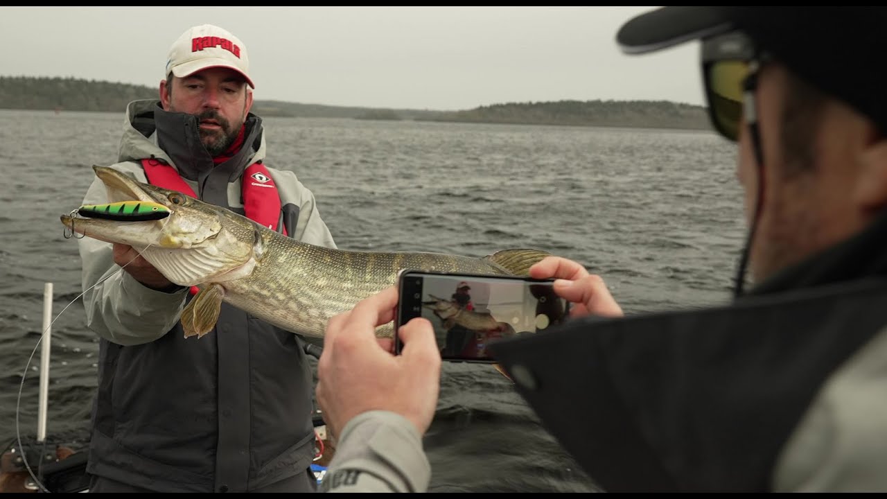 Perch Vintage : vers un retour aux sources - LET'S GO FISHING