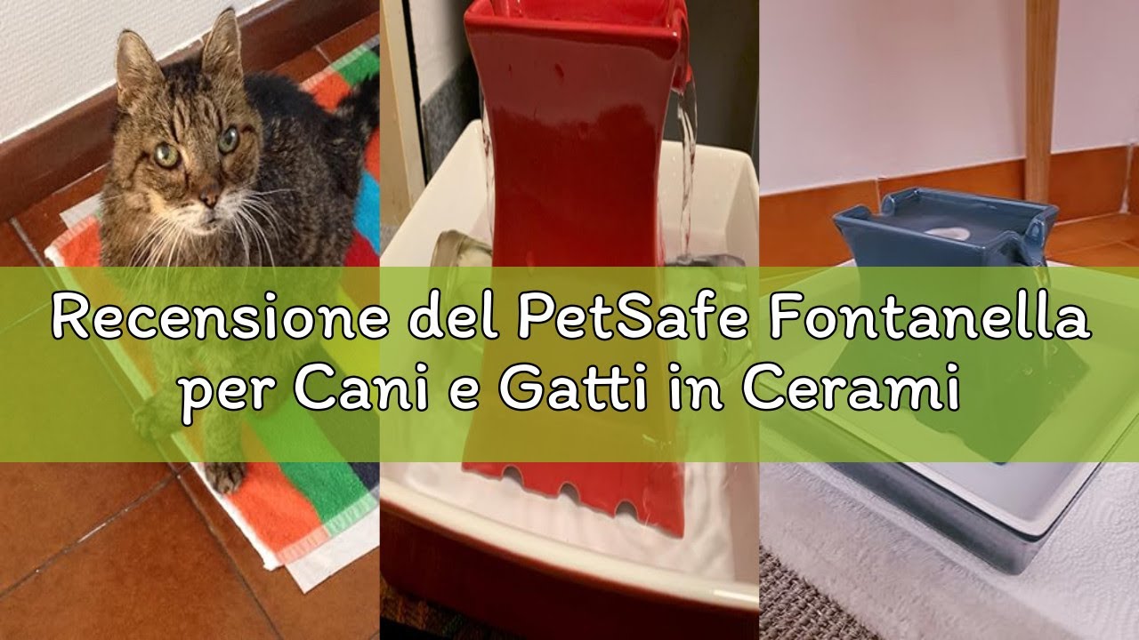 Recensione del PetSafe Fontanella per Cani e Gatti in Ceramica Pagoda Drinkwell - Capacità di 2 Lt -