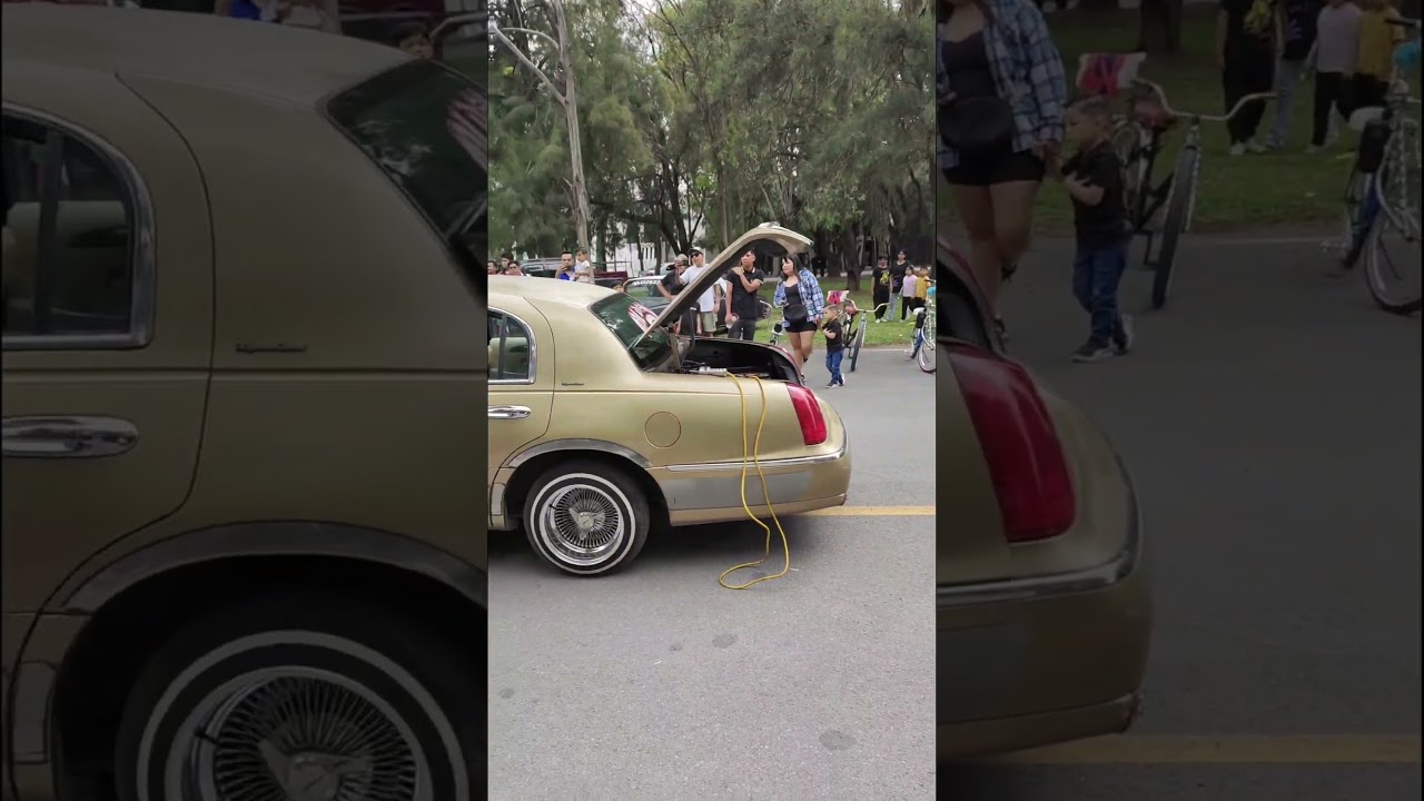 Picnic Lowrider mensual 🚘🚲🕸️