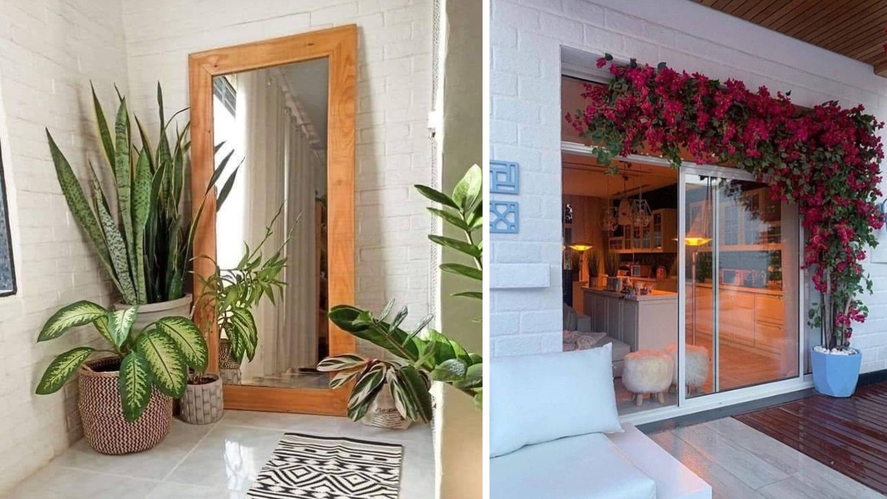 Que en este 2025 no T falten (+177 iDEAS) PLANTITAS EN TU HOGAR Q se adapTn a tu estilo y necesidaDs