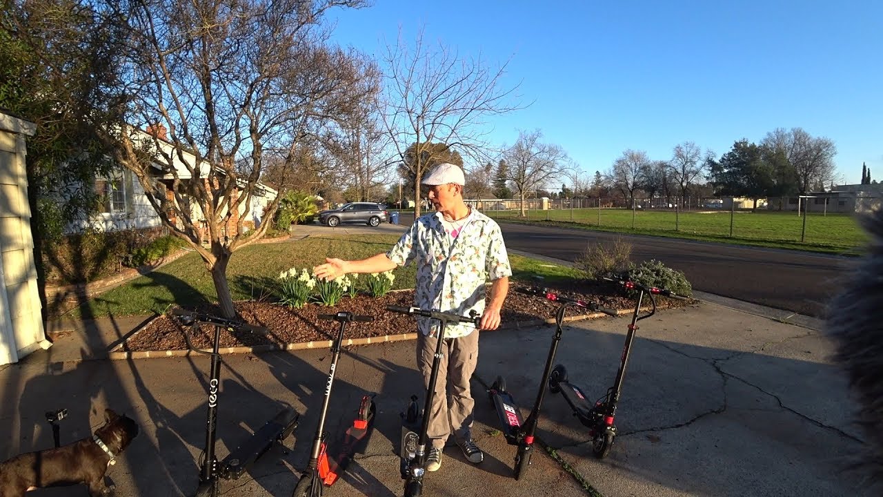 Zoom Stryder, EcoReco S5, Glion Dolly, Zero 8 and Zero 9 Comparison!