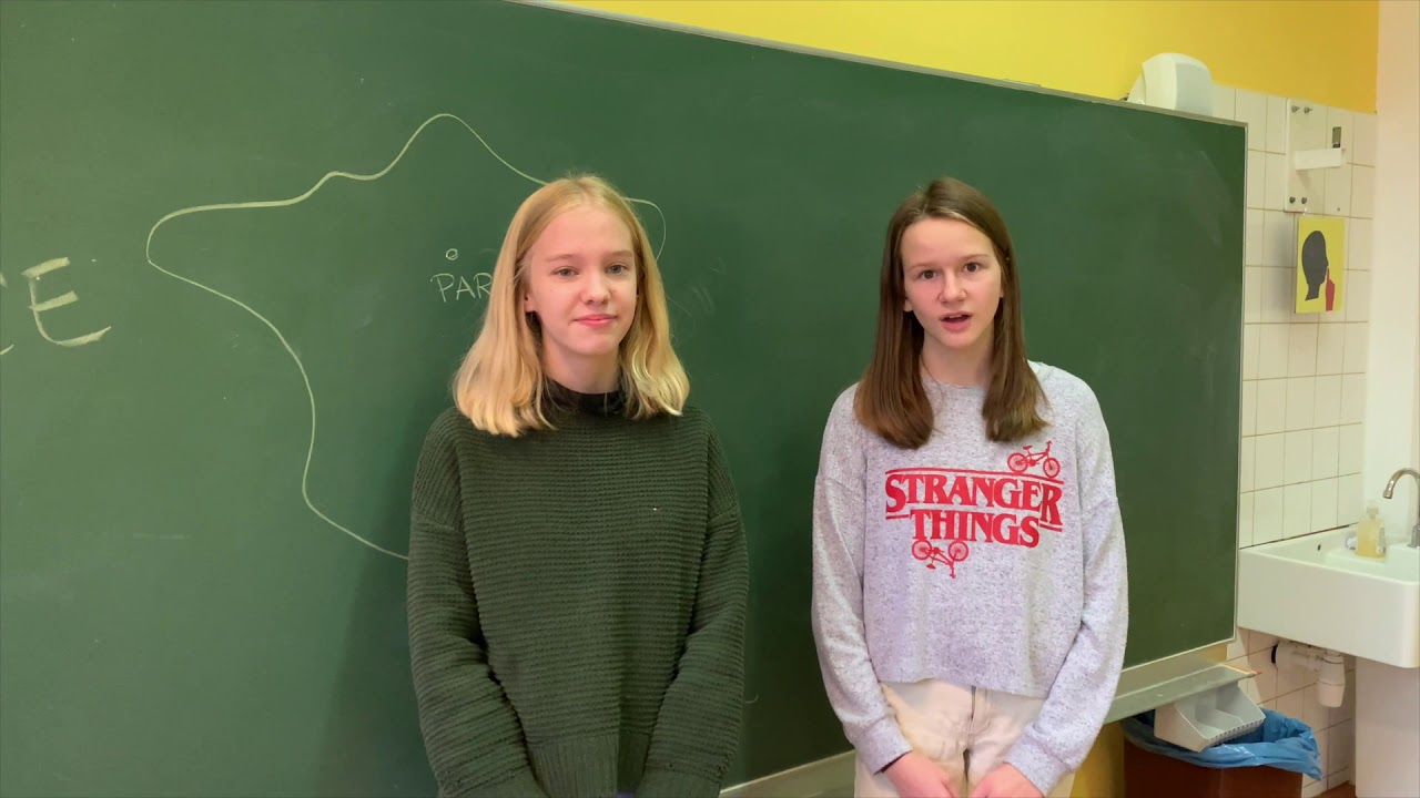 Vorstellung Französischunterricht