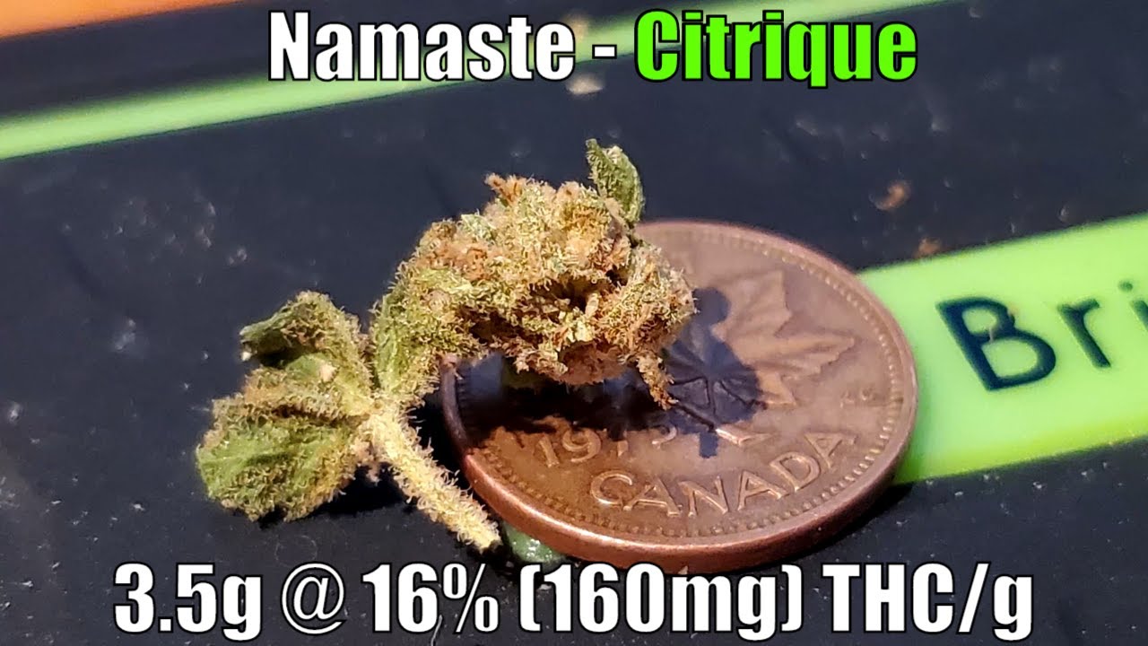 Namaste - Citrique Unboxing Review - 3.5g @ 16% (160mg) THC/g (+Extreme Closeups)
