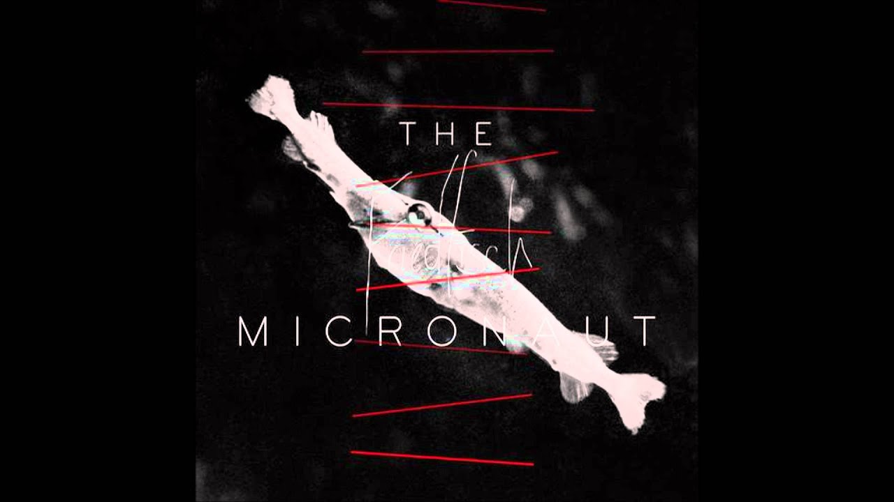 The Micronaut - Karpfen