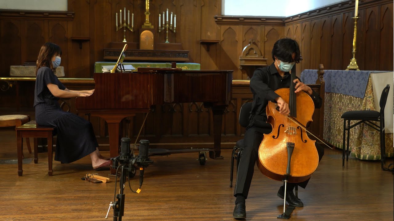 Antonín Dvořák - Cello Concerto in B Minor, Op. 104 - I. Allegro