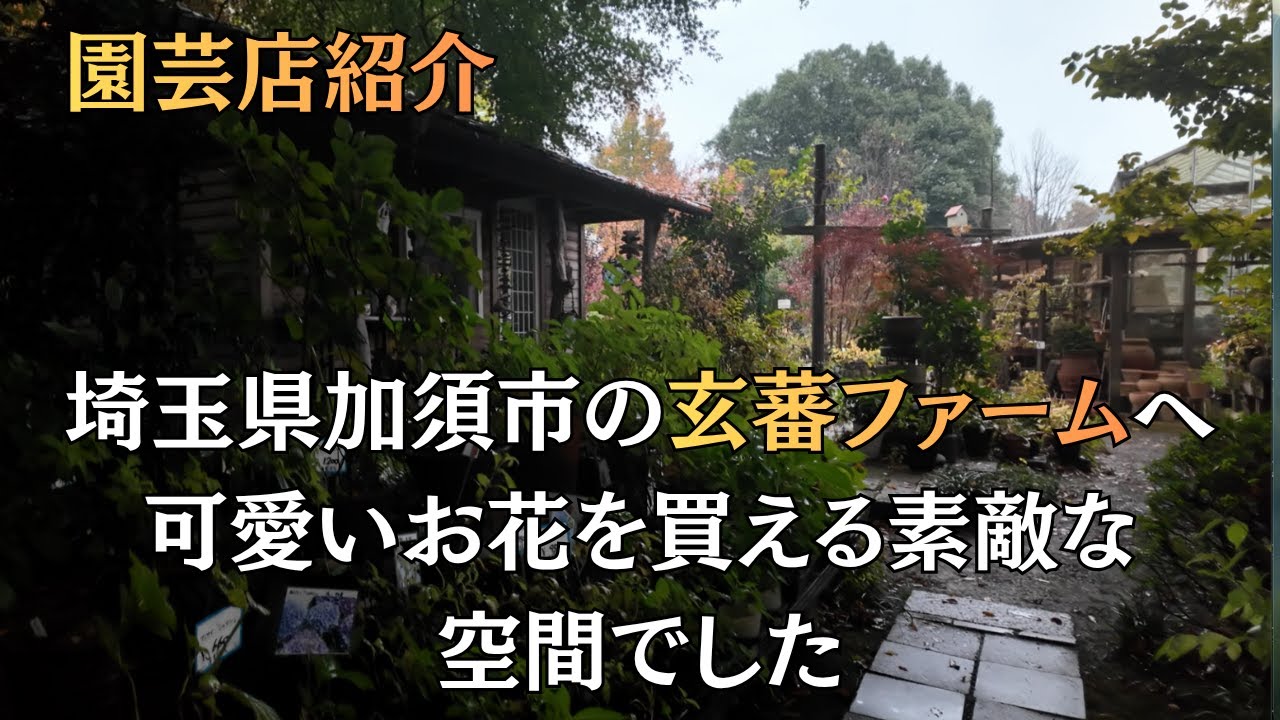 [園芸]園芸店紹介　埼玉県の玄蕃ファームへ　佐藤園芸のロココ、ヌーヴェルヴァーグを玄蕃ファームで購入