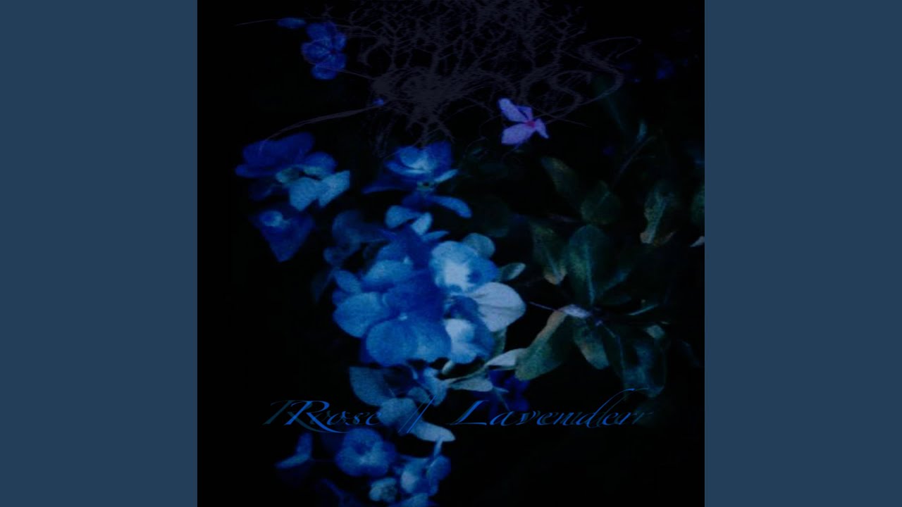 lavender