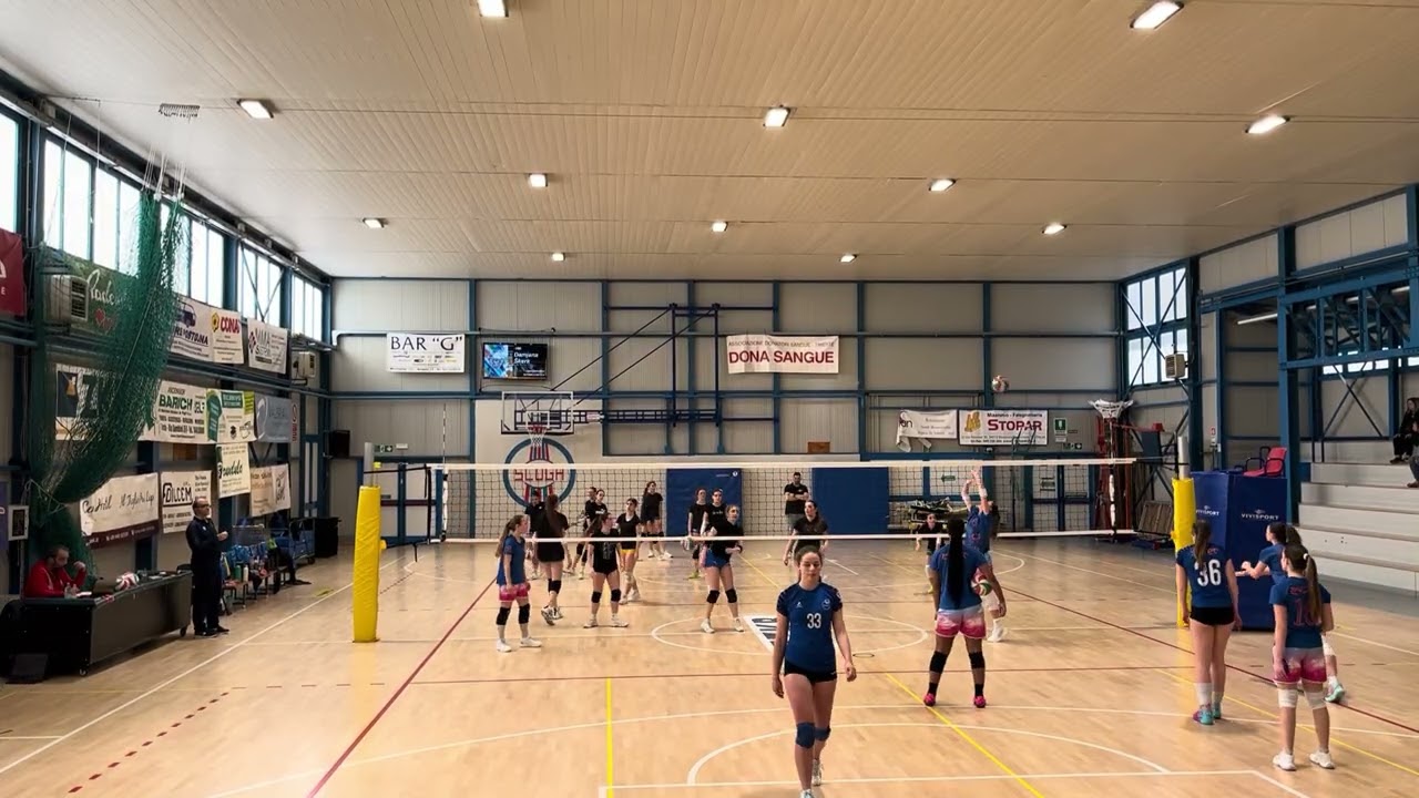 zalet   triestina volley u18