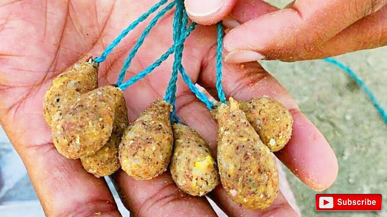 सर्दी में पकड़ो ढेर सारी कराउची मछलियां 🐟| Best bait for black rohu and tilapiya fish in winter