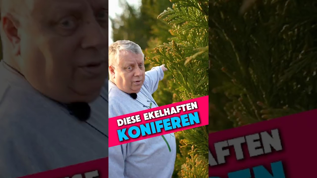 Diese ekelhaften Koniferen | Kleingartensheriff