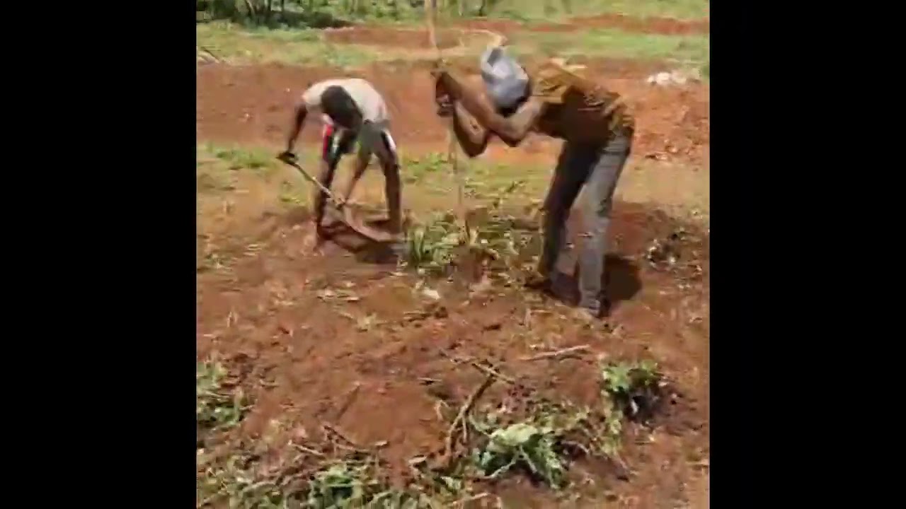 Nothing wasted, everything transformed. 🌍H4HC.comHarvestforhungrychildren.org