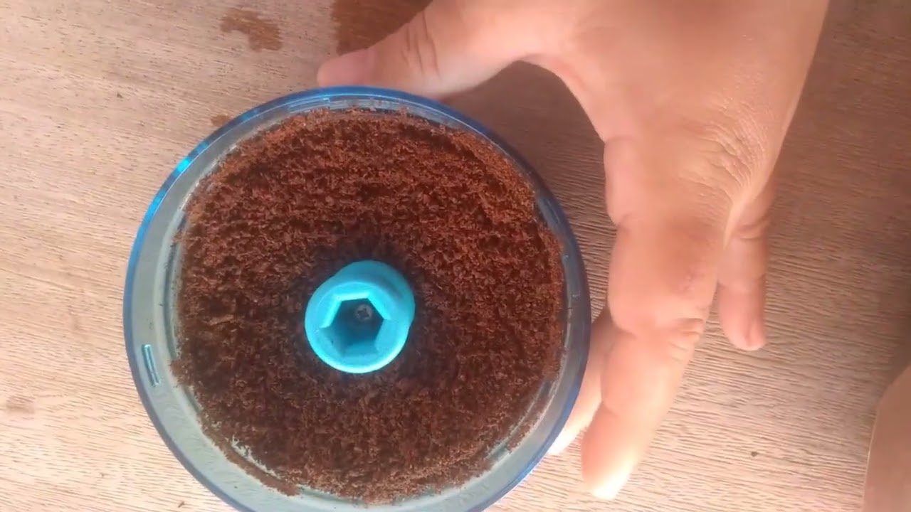 como fazer chocolate com sementes de cupuaçu (cupulate)