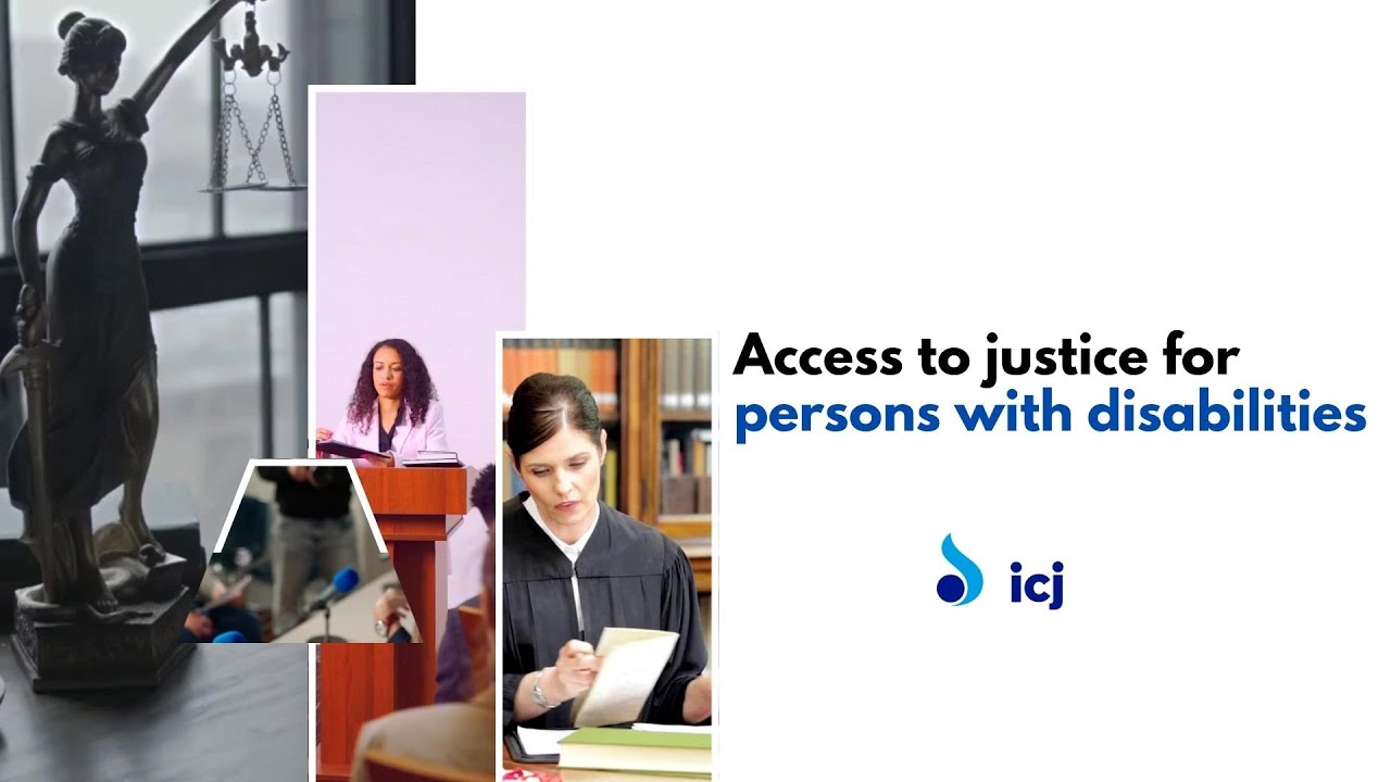 NGOs, OPDs and disability rights advocacy