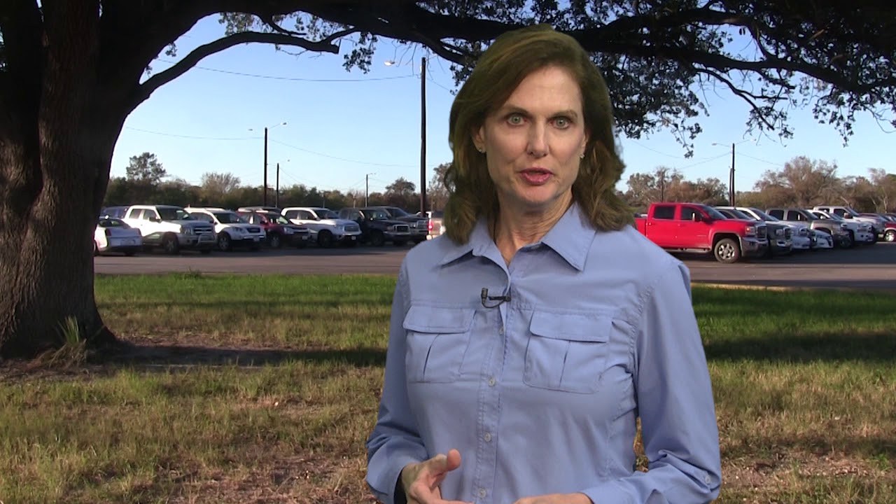 Sarah's Parking Lot & Detention Pond projects at Marathon's Galveston Bay Refinery