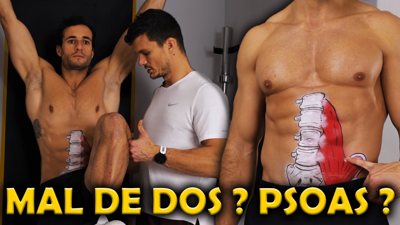 LE PSOAS AMI OU ENNEMI ? Je vous explique tout !