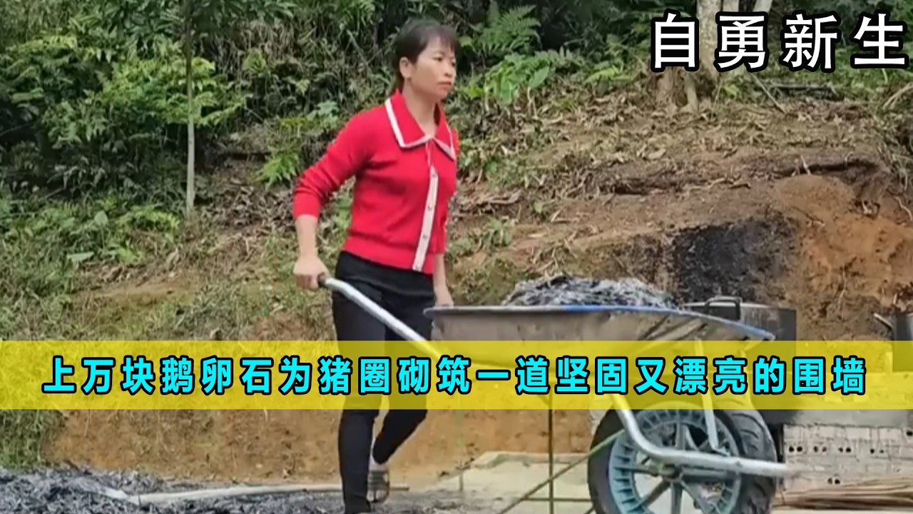上万块鹅卵石为猪圈砌筑一道坚固又漂亮的围墙 《自勇新生》15