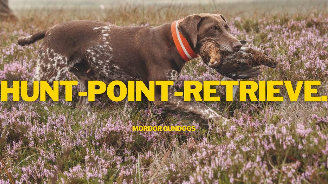 HPRs: What Are They, Are They Any Good & Should You Get One?