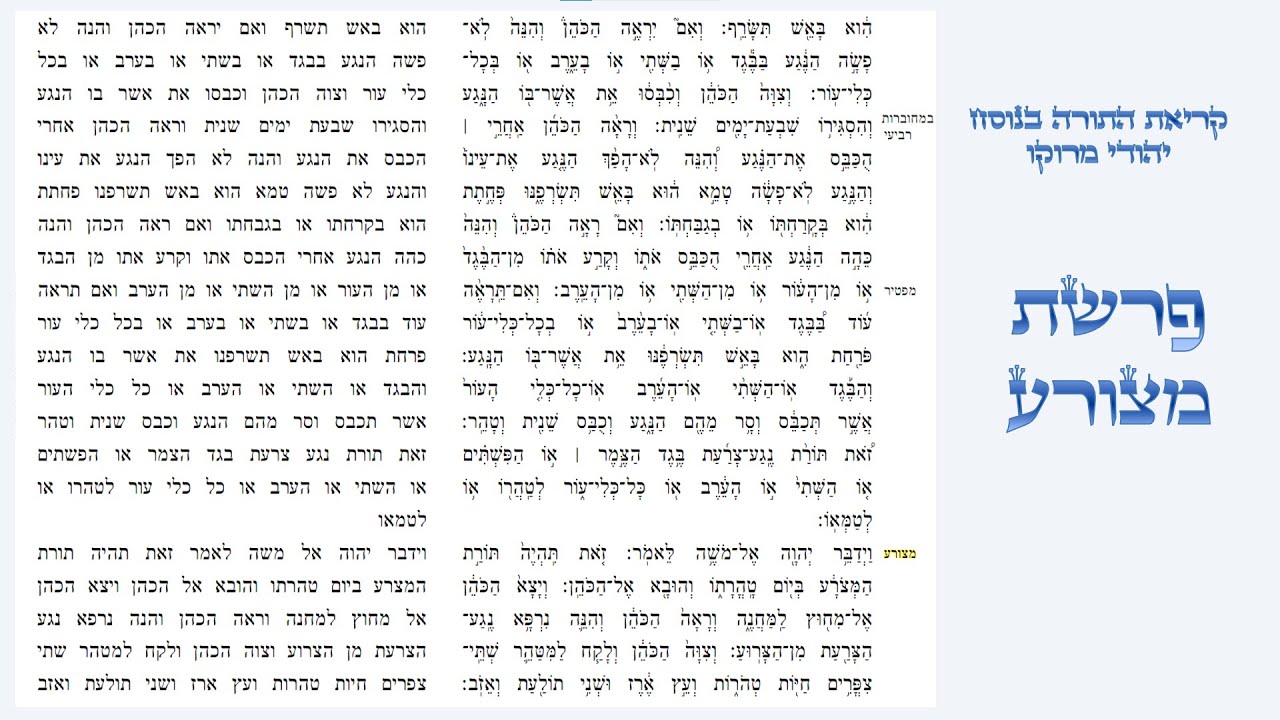 פרשת מצורע - קריאת התורה בנוסח יהודי מרוקו