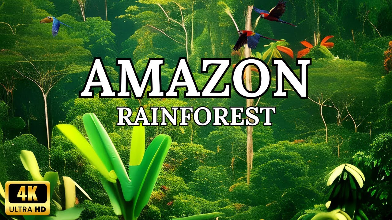 Amazon 4K: Pristine Paradise -The Ultimate Jungle Oasis, Scenic Rainforest Ambience, Relaxation Film