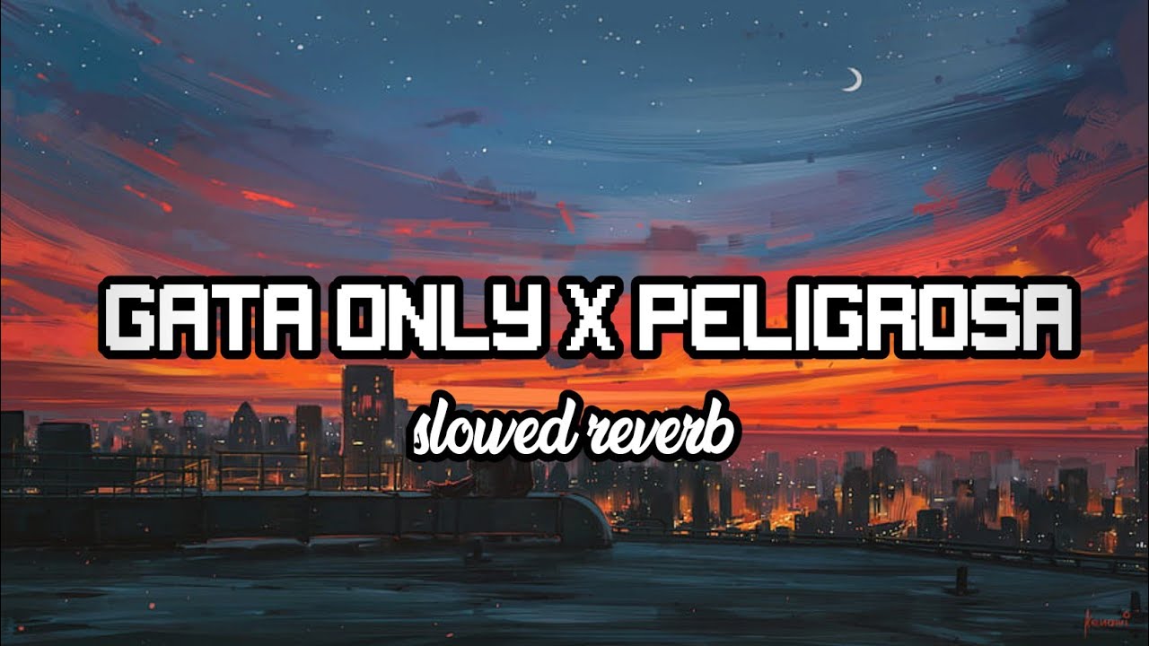 Gata Only x Peligrosa (Jr Stit Mashup) Slowed & Reverbed