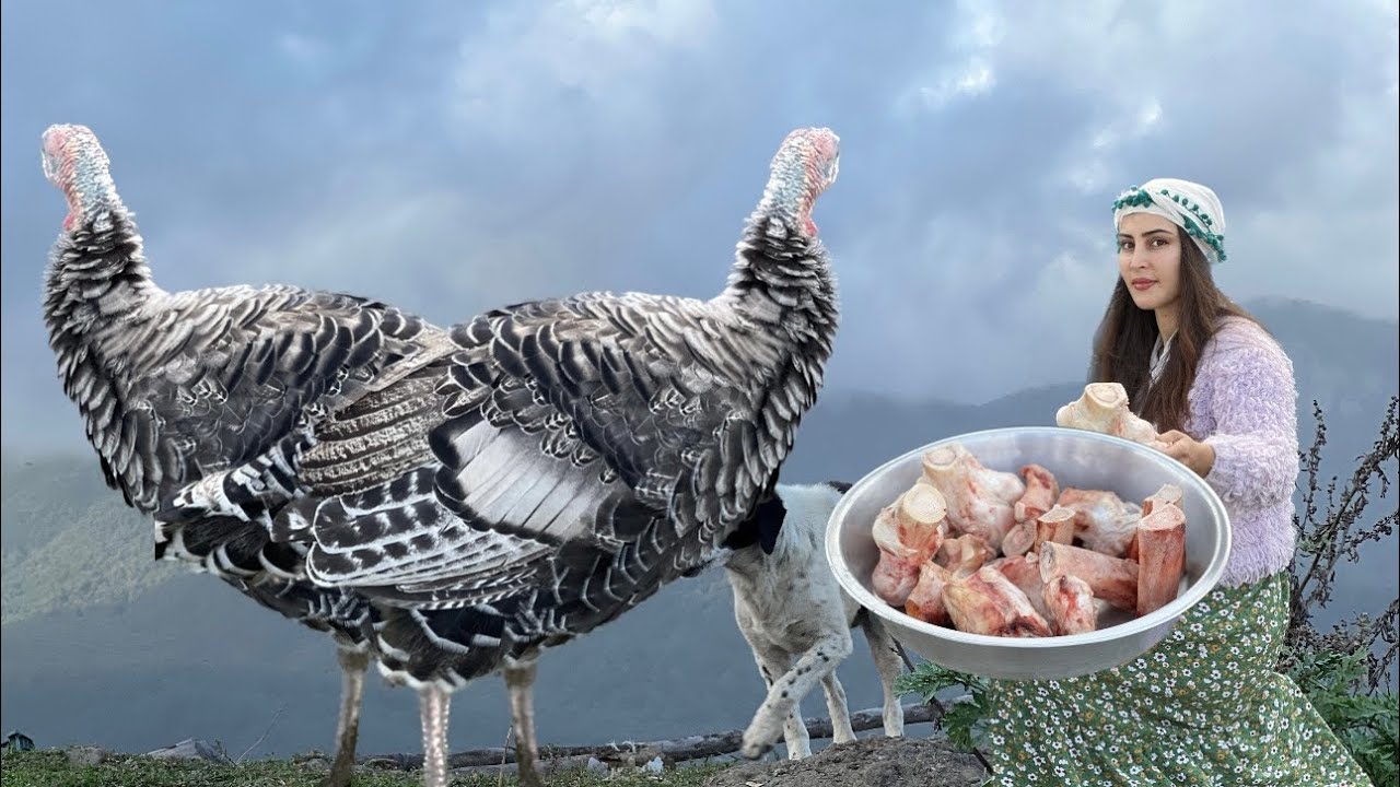Костный суп — вкусный традиционный рецепт кочевого образа жизни