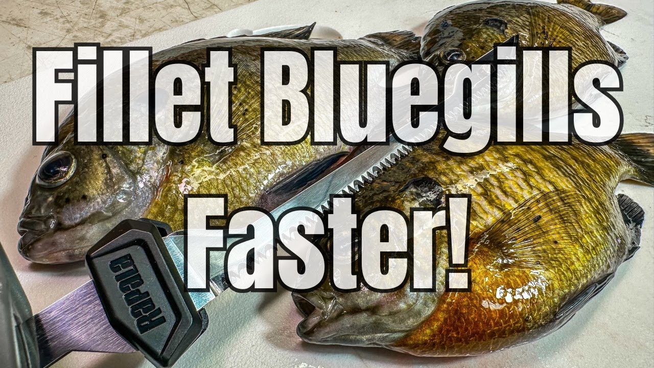 How to Fillet Bluegills With an Electric Fillet Knife (FAST!)