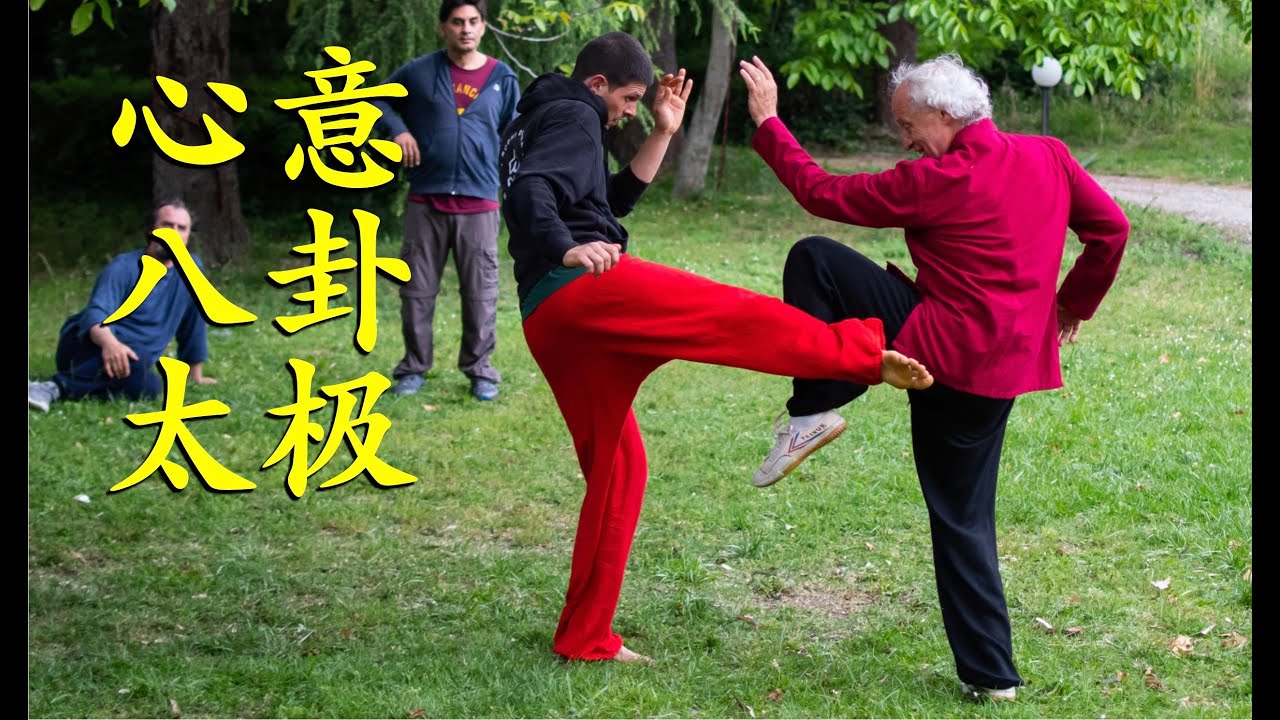 心意_八卦_太极 XinYi_Bagua_Taiji SEMINAR