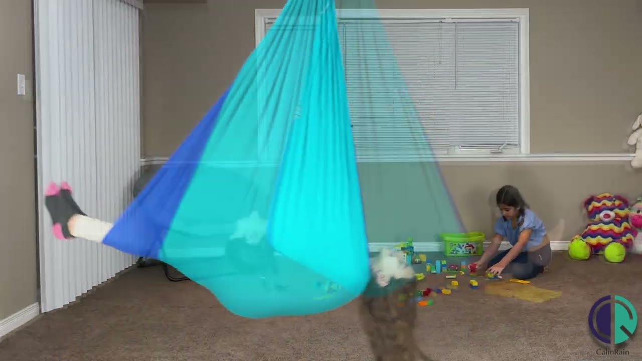 CalmRain Sensory Swing