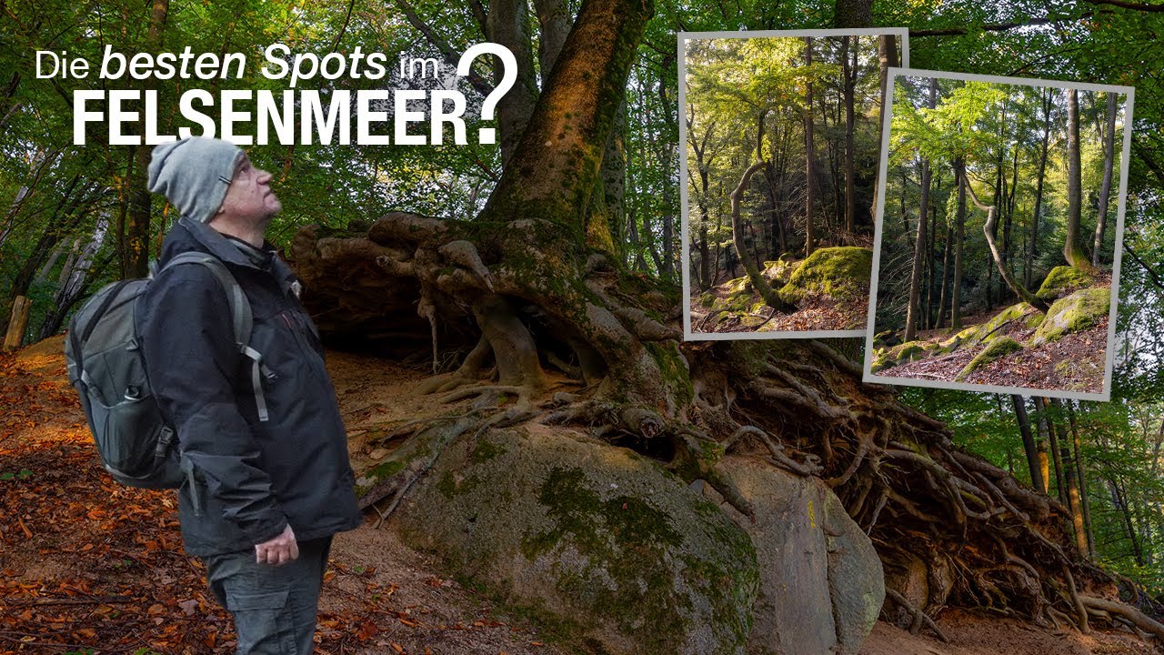 Location Scouting im Felsenmeer | Landschaftsfotografie im Odenwald