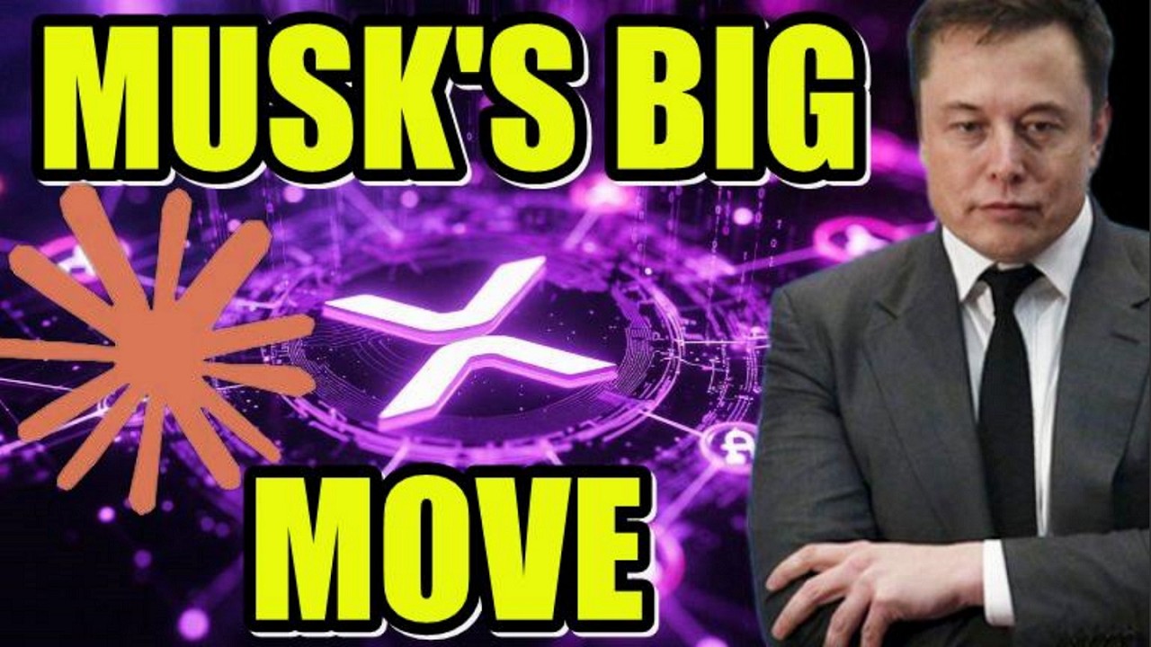 XRP XLM MUSK ЯСНОСТЬ, Я ТАК И ЗНАЛ!!!