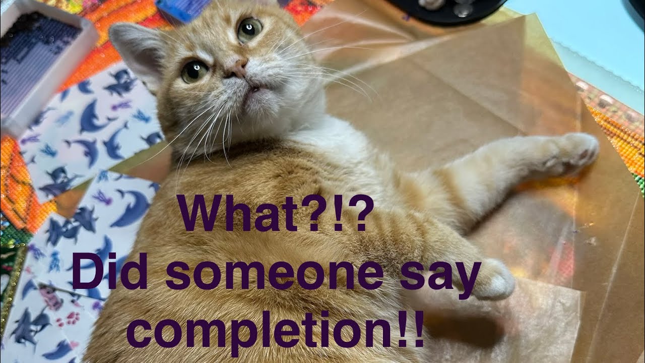 WIP ‘N Chat 7. We have a finish! In the nick of time!