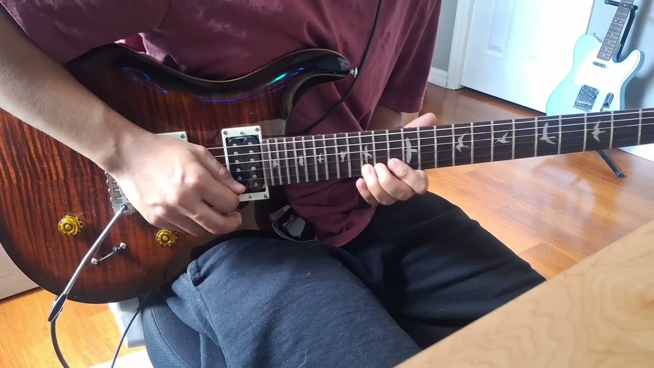 my dead girlfriend - cattle mutilation, strange U.F.O. (Guitar Cover)