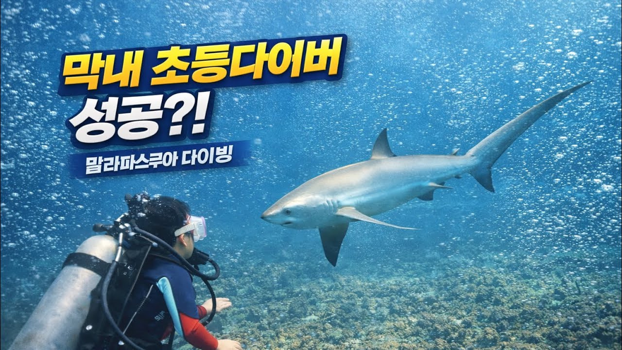초등학생 다이버의 도전! 말라파스쿠아 바닷속 신비한 세계