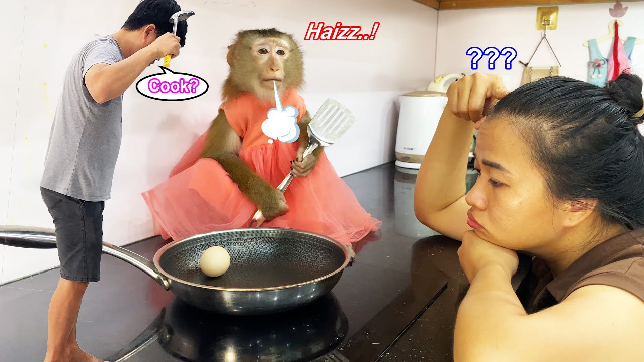 Please.Help Lyly! Monkey Lyly is disappointed because the cameraman doesn't know how to cook for her