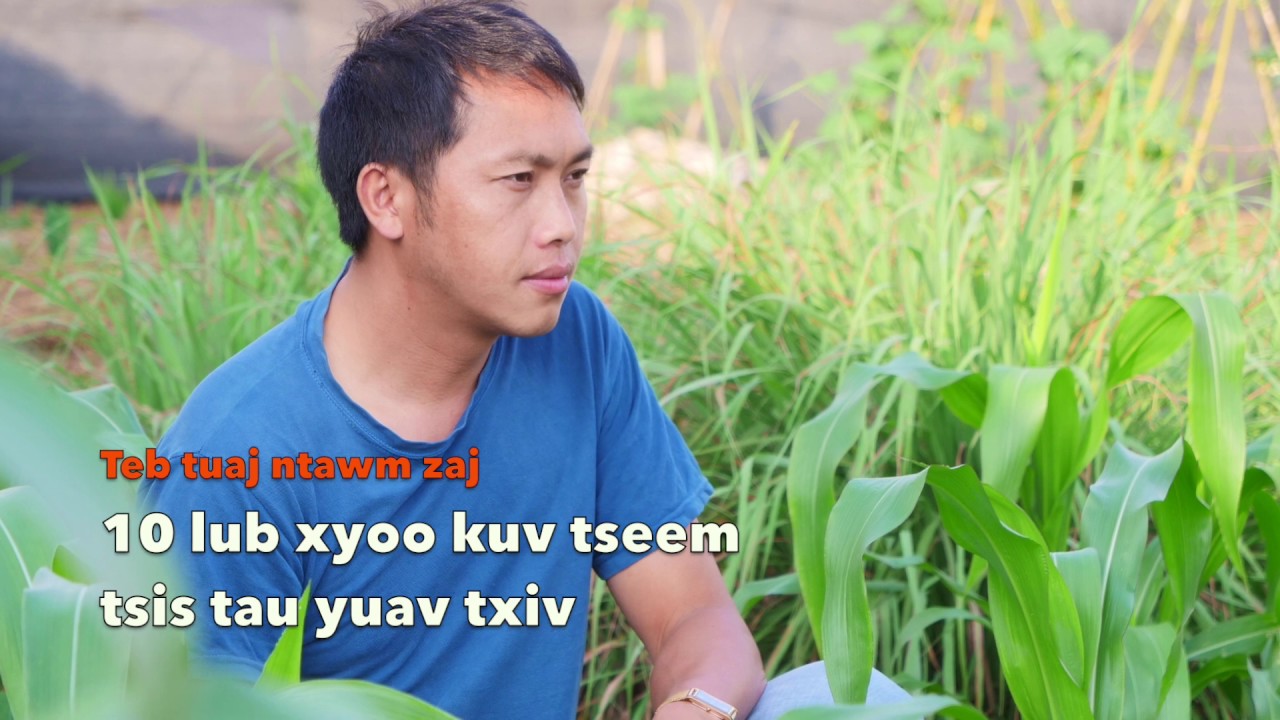 Nrauj koj tag tau 10 lub xyoo tsis tau yuav txiv 6/06/2020