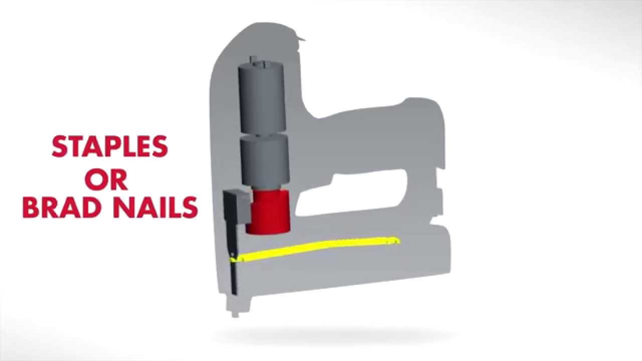 Arrow's Professional Electric Staple Gun & Nailer