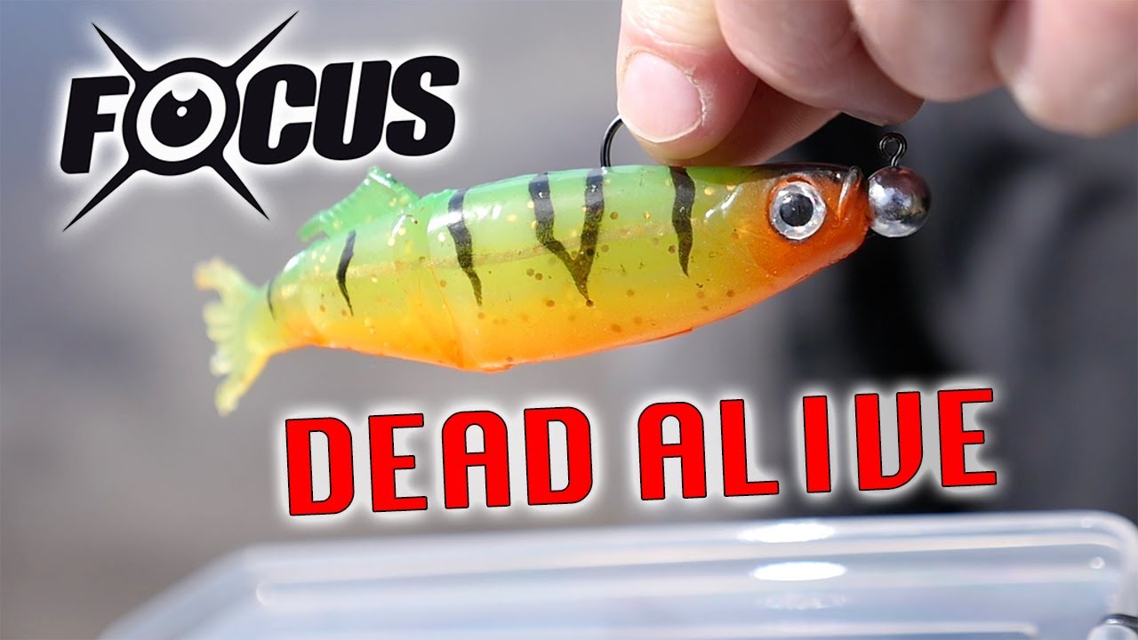 HYPERLASTICS DEAD ALIVE