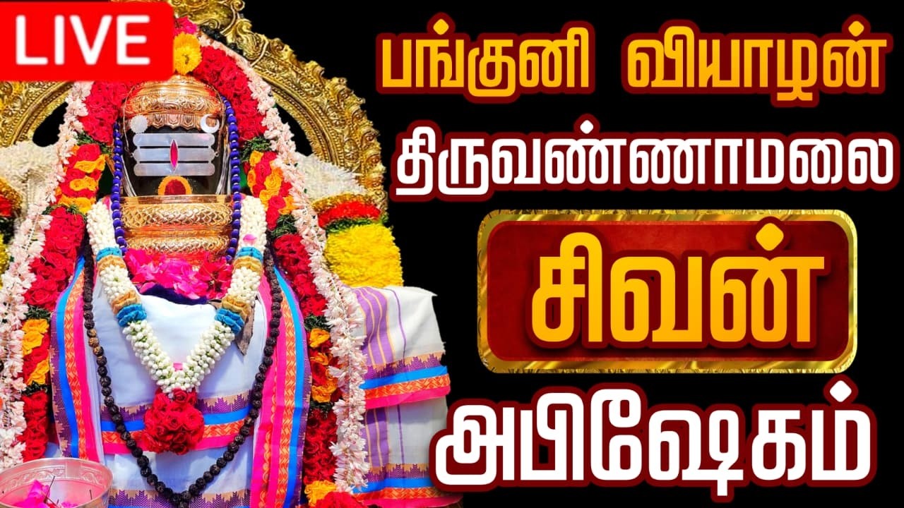 🔴LIVE திருவண்ணாமலை சிவன் மஹா அபிஷேக காட்சி பாருங்க! | Sivan Abhishekam #sivan  #abhishekam