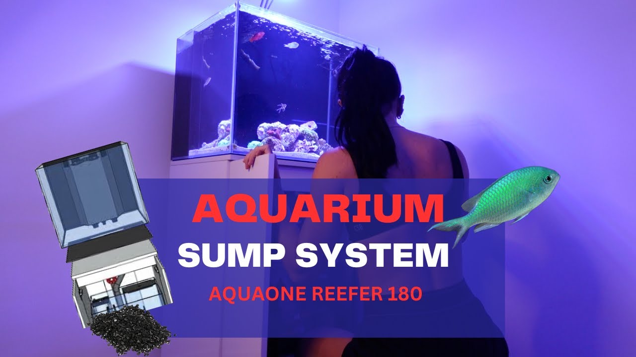 Aqua One Reefer 180