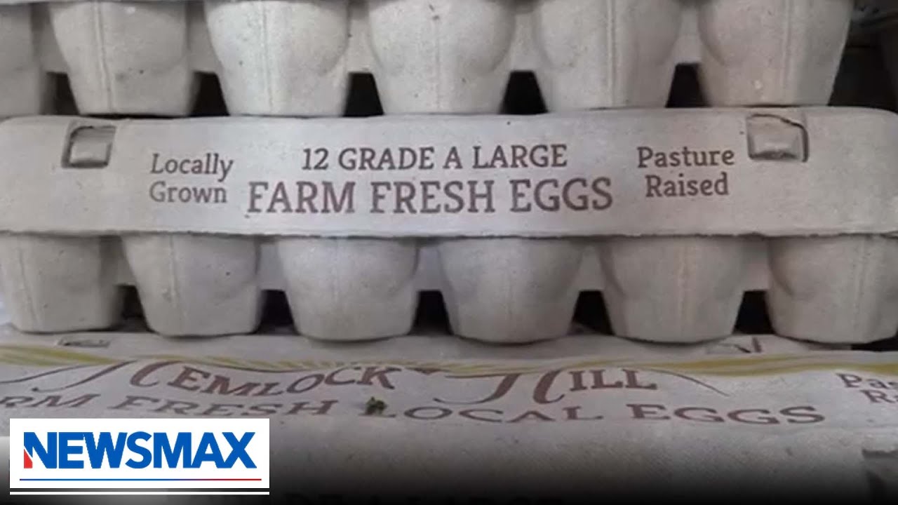 Egg prices SOAR across America, especially in Florida