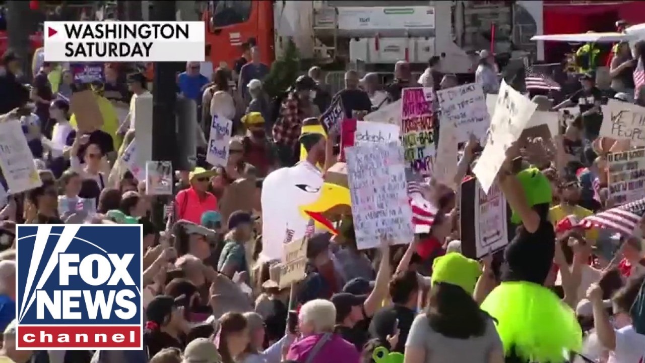 Dems mocked after RAGING at anti-Trump 'No Kings' protests