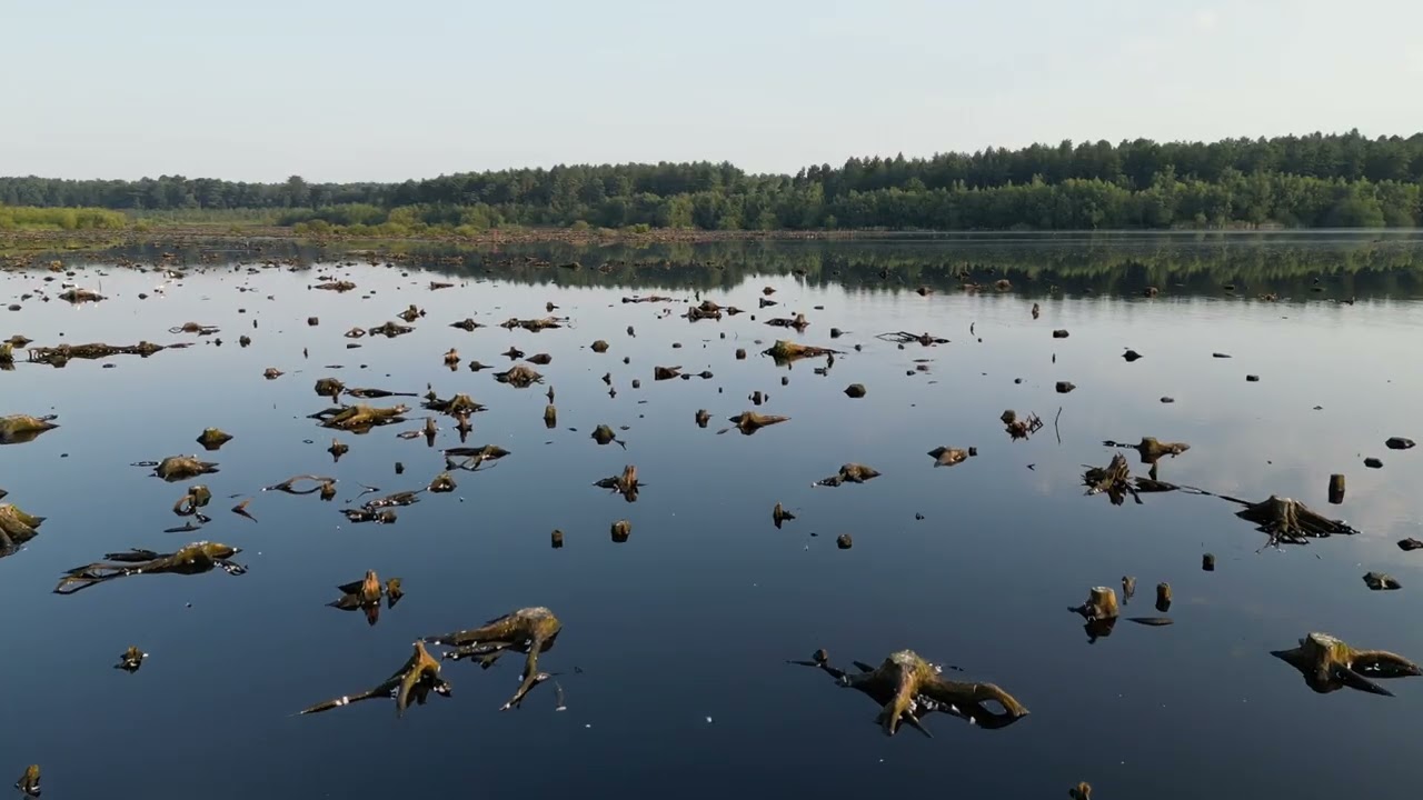 Blakemere Moss at Delamere Forest. 4K Aerial Drone Footage. DJI Mini 3 Pro