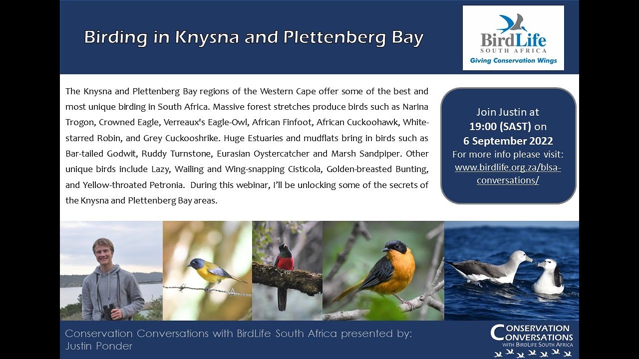 Conservation Conversations: Birding in Knysna and Plettenberg Bay - Justin Ponder (6 Sep 2022)