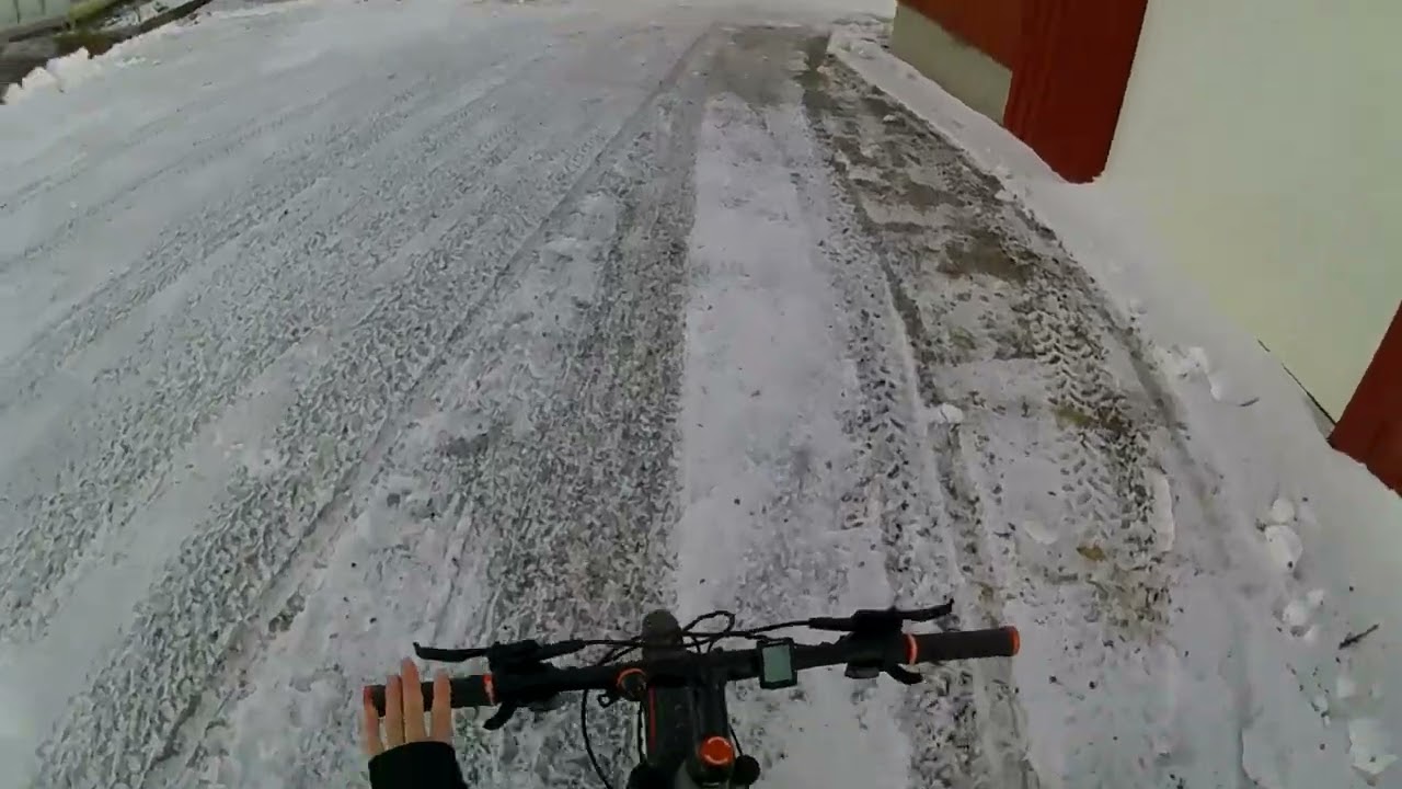 Henrik Sin Bike