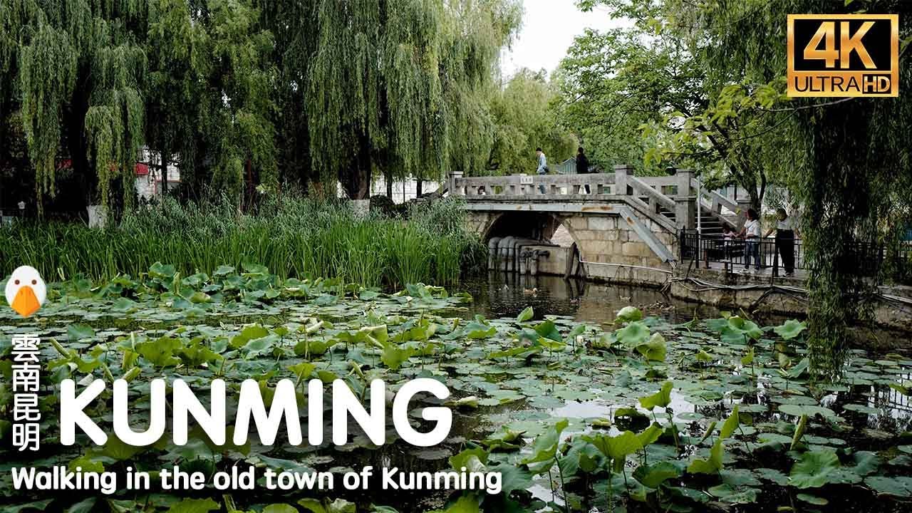 Kunming, Yunnan🇨🇳 Прогулка по городу от храма Юаньтун до парка Грин-Лейк (4K UHD)